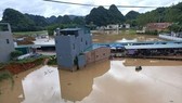 3 người bị sét đánh tử vong trong cơn mưa dông ở Thái Bình