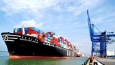 Việt Nam cần có hãng tàu để logistics vươn ra thế giới