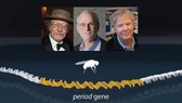 Ba nhà khoa học nhận giải Nobel Y học năm 2017