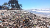 Bãi biển xinh đẹp ở vịnh Mũi Né ngập ngụa rác thải.