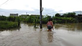 Mưa lớn khiến nhiều nơi của tỉnh Bình Thuận bị ngập lụt.
