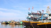 Ninh Thuận và Bình Thuận cấm tất cả tàu thuyền ra biển để chủ động ứng phó áp thấp nhiệt đới.