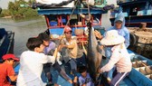 Fishermen in the central province of Binh Dinh catch a tuna fish. Decree 67 was issued to serve the needs of fishermen and contribute to the development of the country’s marine economy. (Photo: VNA/VNS)