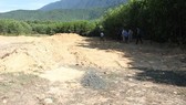 The forestry plantation where the illegal landfill was discovered. (Photo thanh nien.vn)