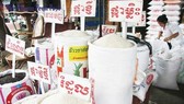 Cambodia exported 398,586 tonnes of the food grain in the first nine months of 2019, up 2.3 percent year on year (Photo: The Phnom Penh Post)