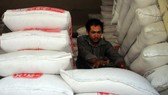 Cambodian rice exports to international markets grew by more than 21 percent in the first two months of this year (Photo: www.phnompenhpost.com)