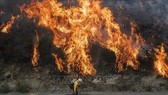  Các đám cháy rừng lan rộng tại Newhall, California, Mỹ, ngày 11-10. Ảnh: AFP/TTXVN