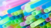 Thành phố Vancouver ở Canada thông qua lệnh cấm ống hút và túi nhựa từ năm 2020. Ảnh: AFP