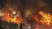  Lính cứu hỏa nỗ lực dập lửa tại đám cháy rừng ở Jamul, bang California, Mỹ. Ảnh: AFP/TTXVN