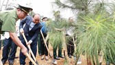 Chủ tịch nước Nguyễn Xuân Phúc trồng cây tại Khu di tích lịch sử K9 - Đá Chông. Ảnh: TTXVN 
