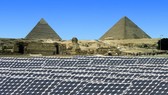 Ai Cập và UAE hợp tác sản xuất hydro xanh