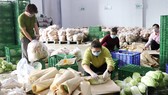 Liên kết nâng giá trị nông sản