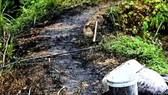 Lộ rõ nhóm người và phương tiện đổ trộm dầu thải gây ô nhiễm nguồn nước sông Đà