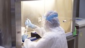Việt Nam phát hiện đột biến gene ở virus B.1.167.2  của Ấn Độ, nguy hiểm hơn 