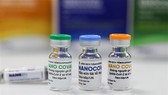 Vaccine Nano Covax chưa được thông qua, cần bổ sung thêm dữ liệu hiệu quả bảo vệ