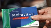 Bộ Y tế đề xuất quy định cởi mở hơn cho người bệnh mua thuốc Molnupiravir