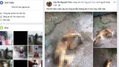 Hình ảnh cá thể động vật hoang dã nghi khỉ bị giết hại đã được đăng tải lên Facebook. Ảnh chụp lại từ màn hình