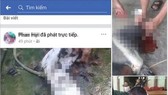 Hình ảnh giết cá thể voọc rồi đăng lên Facebook gây phẫn nộ