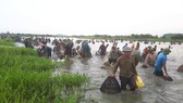 Người dân nô nức tham gia lễ hội đánh cá Đồng Hoa