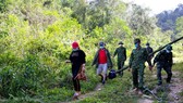 Lực lượng Bộ đội Biên phòng Hà Tĩnh phát hiện, bắt giữ 2 đối tượng đang cắt rừng vượt biên trái phép vào Việt Nam