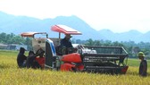 Người dân Hà Tĩnh thu hoạch lúa vụ hè thu thời điểm tháng 9-2021