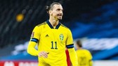 Zlatan Ibrahimovic thừa nhận đây là đóng góp cuối cùng cho đội tuyển.
