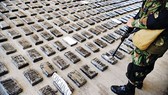Colombia phát hiện 1,1 tấn cocaine 