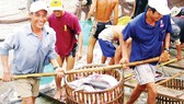 Nông dân ĐBSCL thu hoạch cá tra                                             Ảnh: CAO PHONG