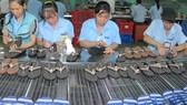 Nguyên liệu sản xuất giày dép còn phụ thuộc nhiều vào nhập khẩu   Ảnh: THÀNH TRÍ