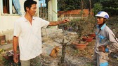 Anh Nguyễn Công Sơn (trái) nhiệt tình chia sẻ cách chăm sóc mai với người dân tới hỏi thăm