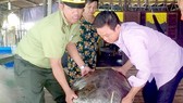 Nhận bàn giao cá thể rùa quý hiếm do ngư dân bắt được và thả về môi trường tự nhiên