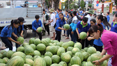 Xắn tay giúp nông dân vượt khó