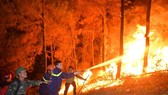 Liên tiếp cháy rừng ở Nghệ An