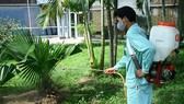 Tăng cường phòng chống dịch do virus Chikungunya