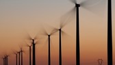 WWF hỗ trợ phát triển năng lượng tái tạo