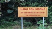 Khảo sát đề cử hang Con Moong là di sản văn hóa thế giới