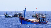 Dẫn giải tàu cá ở Cà Mau vi phạm vùng biển nước ngoài