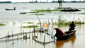Lũ nhỏ về muộn nên người dân ĐBSCL khai thác thủy sản gặp khó khăn