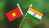 TPHCM tích cực đóng góp thúc đẩy hợp tác Ấn Độ - Việt Nam