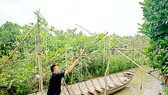 Fanpage “Tường của Má” chia sẻ ẩm thực miệt vườn chưa kiếm được tiền từ quảng cáo