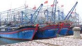Hàng loạt tàu đánh cá tại làng biển xã Quỳnh Lập  (thị xã Hoàng Mai, Nghệ An) nằm bờ. Ảnh: DUY CƯỜNG