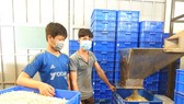 Công nhân làm việc tại cơ sở chế biến hạt điều Công Hậu, xã Phước Minh, huyện Bù Gia Mập