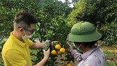 Nhân viên Postmart.vn tư vấn cho bà con nông dân  ở xã Long Tân, huyện Đất Đỏ (Bà Rịa - Vũng Tàu)  