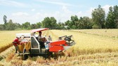 Phát huy nguồn lực đấi đai để khai thác giá trị sử dụng đất. Trong ảnh: Nông dân ĐBSCL thu hoạch lúa. Ảnh: HÀM LUÔNG