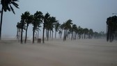Bão TALIM tiến vào Trung Quốc, áp thấp nhiệt đới gần biển Đông