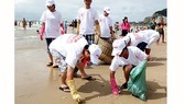Thanh niên tình nguyện dọn rác trên bãi biển Vũng Tàu