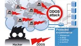 Tấn công DDoS giảm nhưng không nên chủ quan