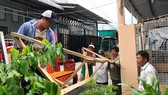 UBND phường 1, TP Cà Mau, cưỡng chế nhà anh Phạm Duy Thanh  xây dựng trong hẻm tự phát