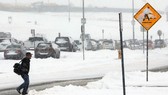 "Cơn ác mộng" bão tuyết tại Mỹ 