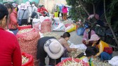Độc đáo phiên chợ tỏi trên đảo Lý Sơn
